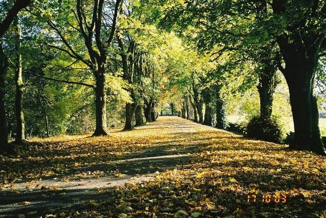 Barrhill