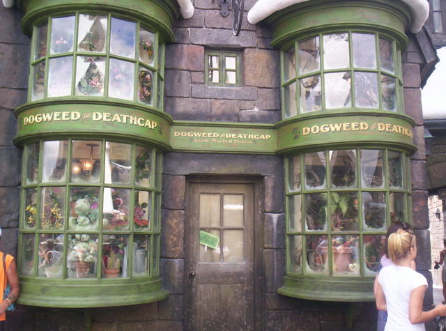 Dogweed and Deathcap Shop